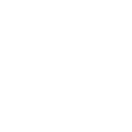 Mexon International