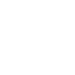 Rietveldt Business inteligence